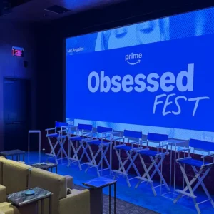 amazon obsessed chairs